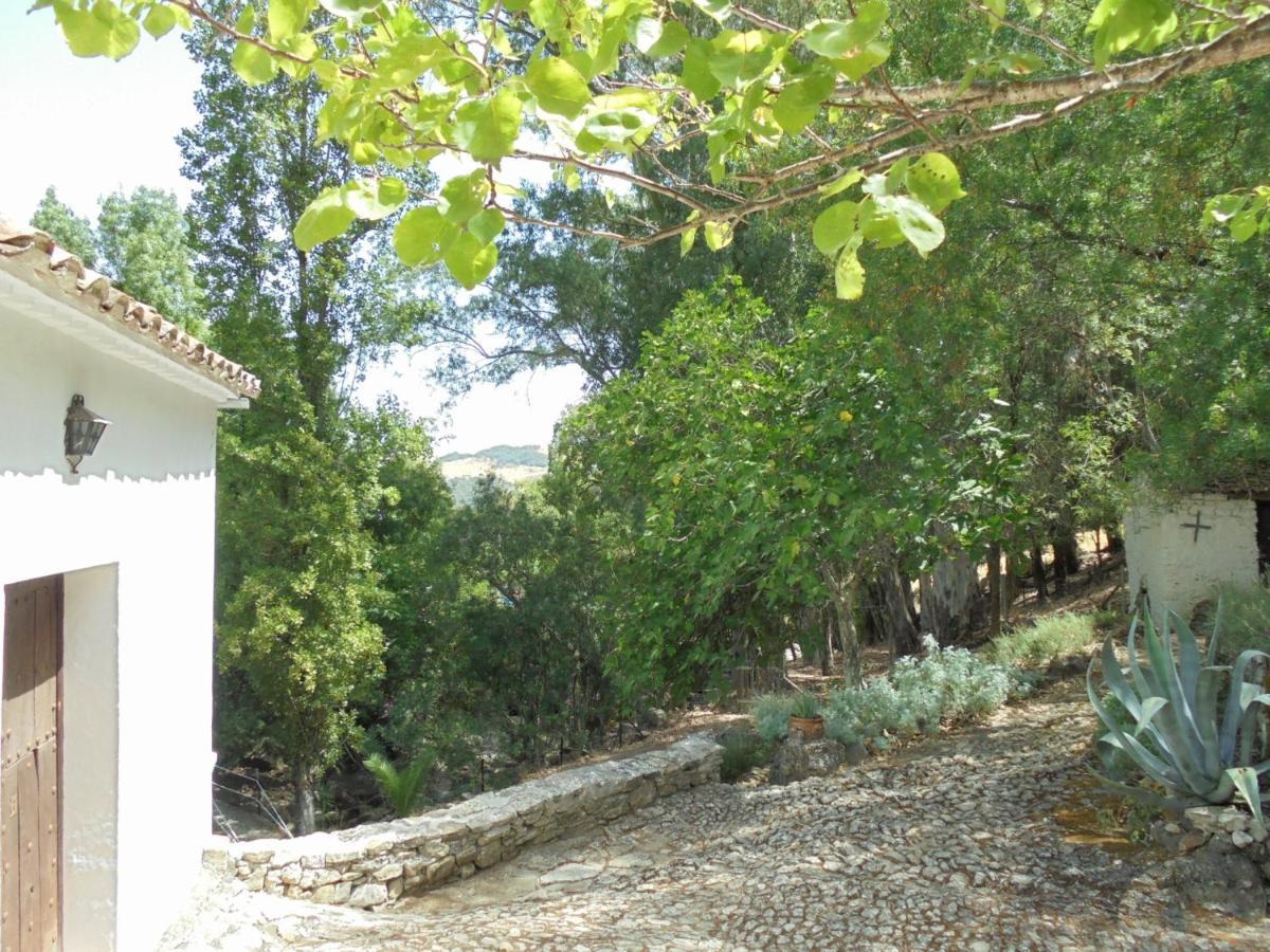 El Pastor Villa Grazalema Eksteriør bilde